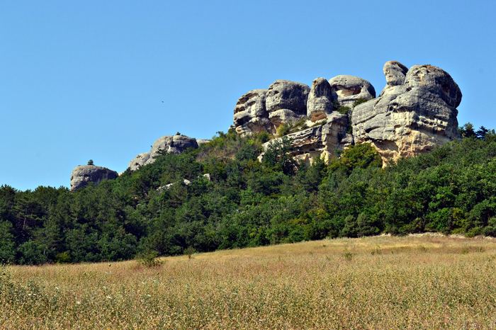 Галечный пляж под скалой, чайка